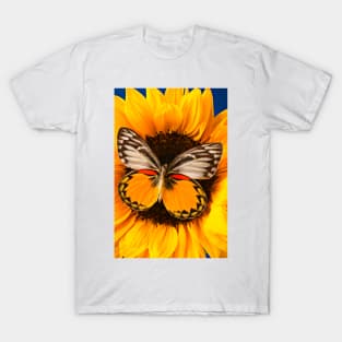 Butterfly On Sunflower T-Shirt